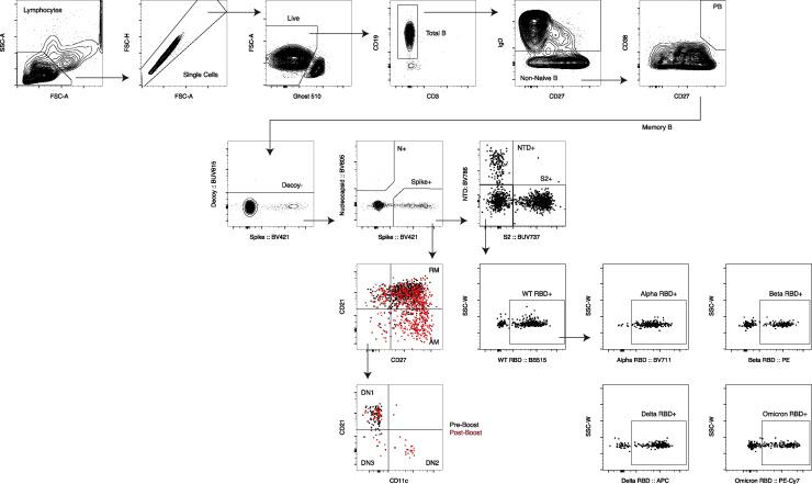 https://cdn.ncbi.nlm.nih.gov/pmc/blobs/0b37/8989683/af49730d319a/figs2_lrg.jpg