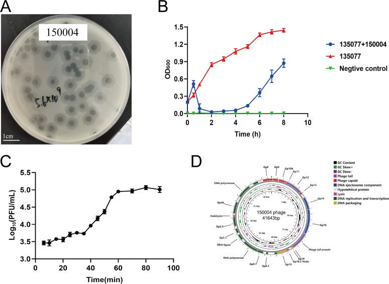 https://cdn.ncbi.nlm.nih.gov/pmc/blobs/0b39/9769513/86de9db2b377/msphere.00518-22-f001.jpg