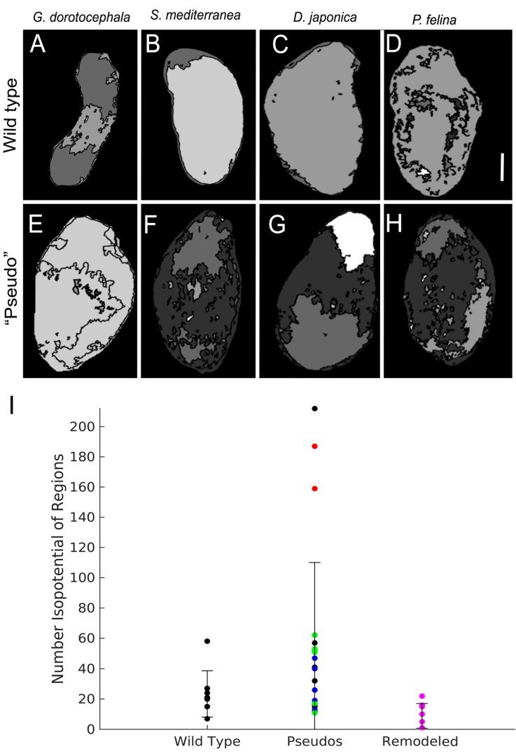 https://cdn.ncbi.nlm.nih.gov/pmc/blobs/0b3a/4661923/145312c97ba3/ijms-16-26065-g006.jpg