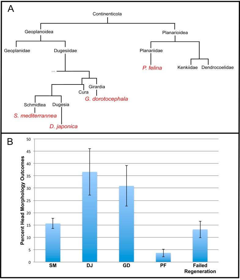 https://cdn.ncbi.nlm.nih.gov/pmc/blobs/0b3a/4661923/7f0e0551d9fe/ijms-16-26065-g003.jpg