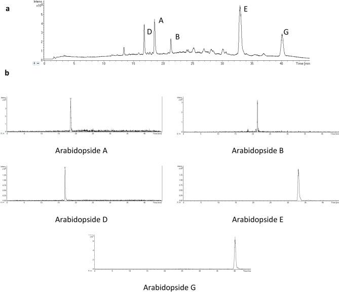 https://cdn.ncbi.nlm.nih.gov/pmc/blobs/0b3d/7371884/3449c063e6a2/41598_2020_68757_Fig5_HTML.jpg