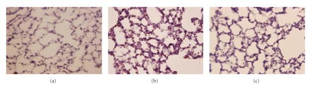 https://cdn.ncbi.nlm.nih.gov/pmc/blobs/0b3e/2796336/9e8c2c2fbc32/JBB2009-768086.006.jpg