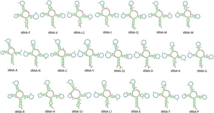 https://cdn.ncbi.nlm.nih.gov/pmc/blobs/0b3f/12277541/8c4d776cfce6/ECE3-15-e71795-g004.jpg