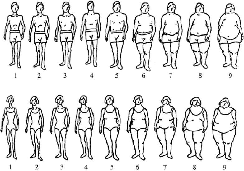 https://cdn.ncbi.nlm.nih.gov/pmc/blobs/0b42/7325831/63acdd332bd1/JEGH-5-s19-g001.jpg