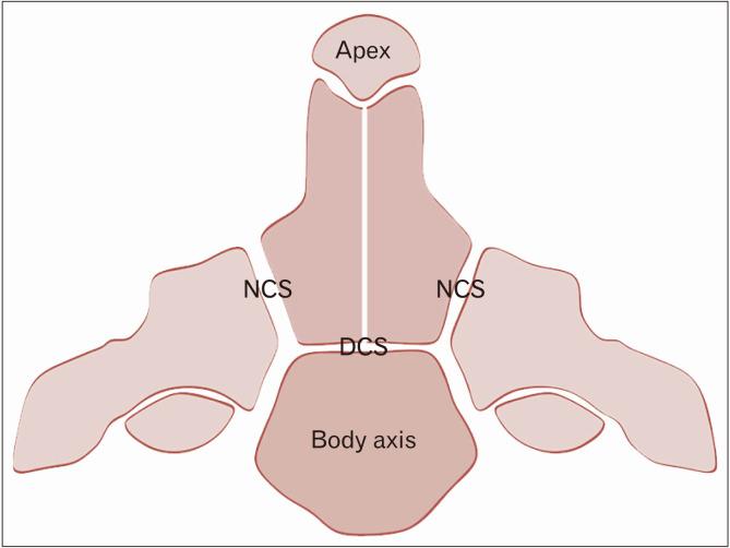 https://cdn.ncbi.nlm.nih.gov/pmc/blobs/0b42/7769104/659705d8fa3a/ACB-53-522-f2.jpg