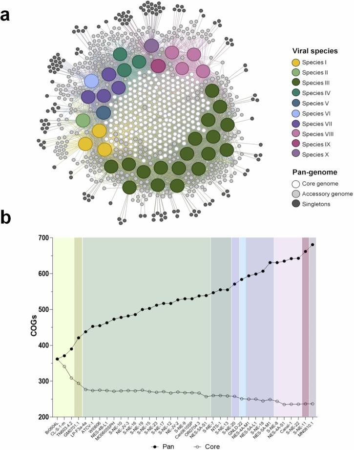https://cdn.ncbi.nlm.nih.gov/pmc/blobs/0b44/11847008/717108bd6f3f/44298_2025_88_Fig6_HTML.jpg