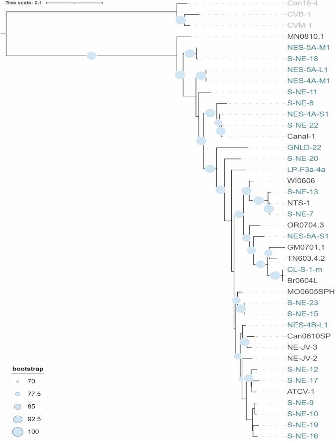 https://cdn.ncbi.nlm.nih.gov/pmc/blobs/0b44/11847008/e214e1059a54/44298_2025_88_Fig2_HTML.jpg