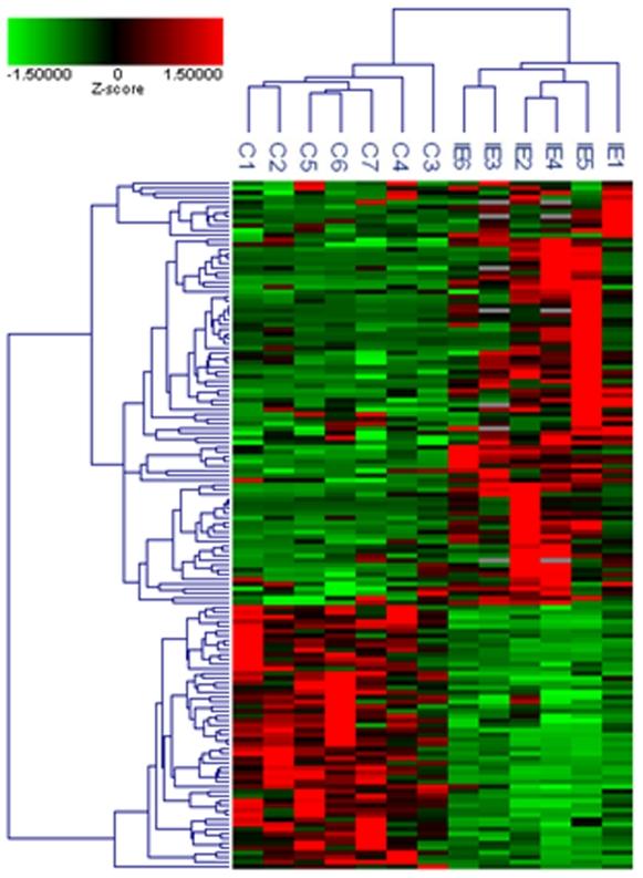 https://cdn.ncbi.nlm.nih.gov/pmc/blobs/0b45/2812508/2d63b05bb284/pone.0008939.g002.jpg