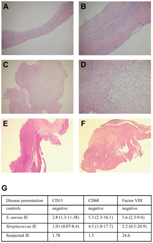 https://cdn.ncbi.nlm.nih.gov/pmc/blobs/0b45/2812508/73068dd22056/pone.0008939.g001.jpg