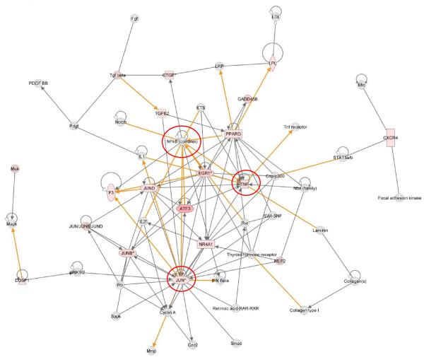 https://cdn.ncbi.nlm.nih.gov/pmc/blobs/0b45/3091762/1cd81fbf6d28/1471-2164-11-624-3.jpg