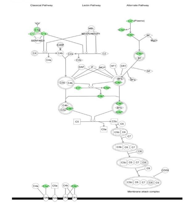 https://cdn.ncbi.nlm.nih.gov/pmc/blobs/0b45/3091762/e2988790fc2f/1471-2164-11-624-9.jpg