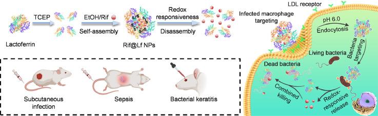 https://cdn.ncbi.nlm.nih.gov/pmc/blobs/0b46/11381595/4f58b17a893e/ga1.jpg
