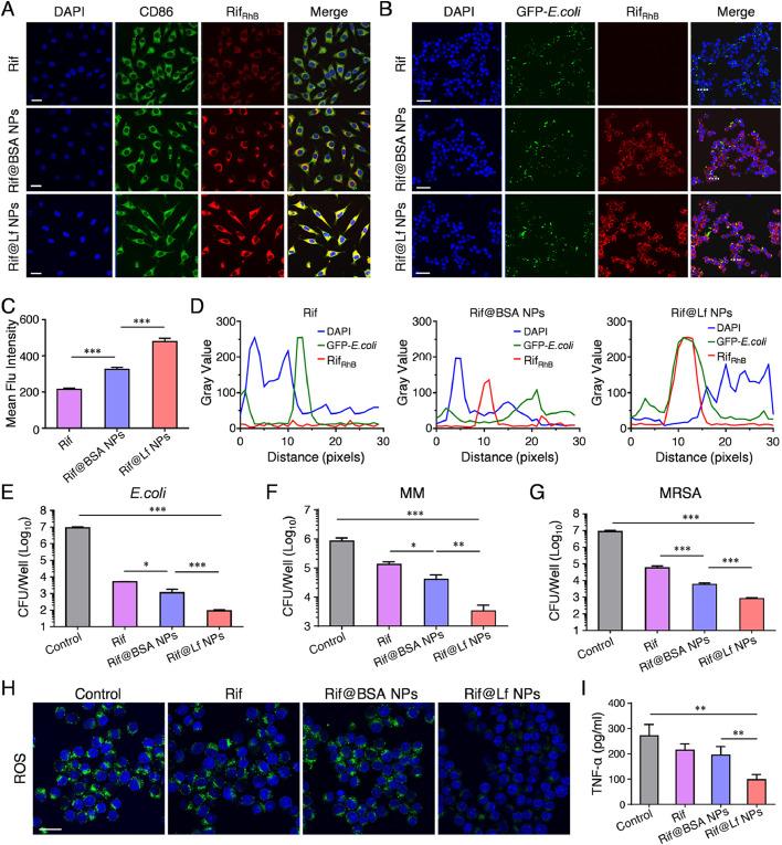 https://cdn.ncbi.nlm.nih.gov/pmc/blobs/0b46/11381595/b98f5b28656c/gr3.jpg