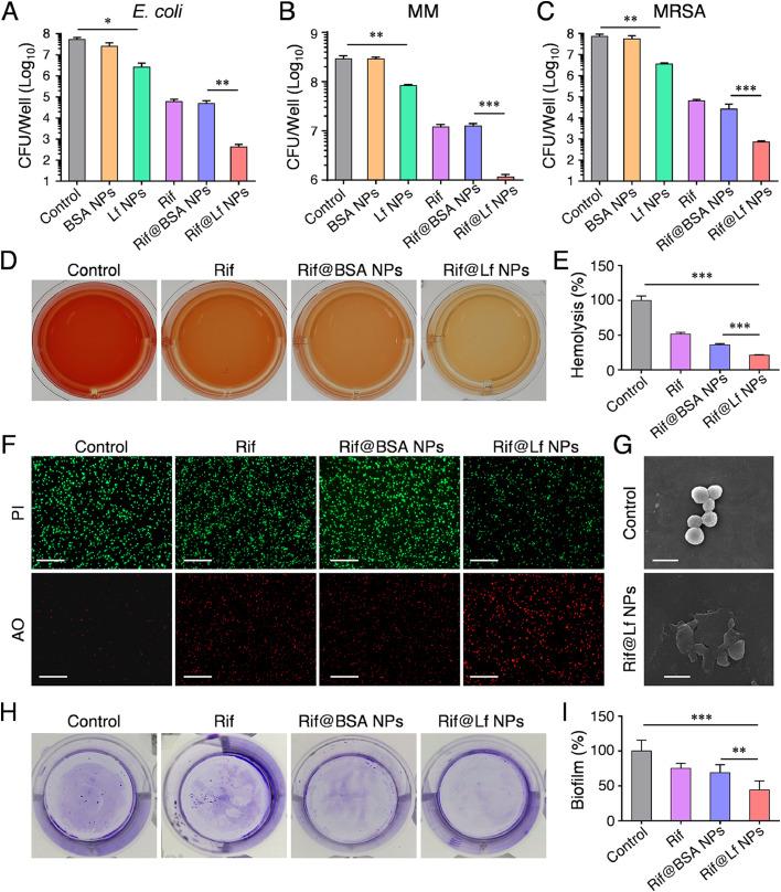 https://cdn.ncbi.nlm.nih.gov/pmc/blobs/0b46/11381595/de2ec9337c9c/gr2.jpg