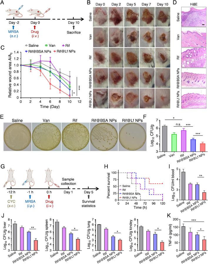 https://cdn.ncbi.nlm.nih.gov/pmc/blobs/0b46/11381595/dfdee86fc0c0/gr4.jpg