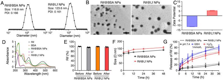 https://cdn.ncbi.nlm.nih.gov/pmc/blobs/0b46/11381595/f0b34f25aa75/gr1.jpg