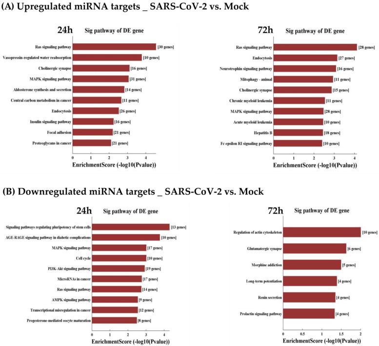 https://cdn.ncbi.nlm.nih.gov/pmc/blobs/0b46/9962802/fb0d89a03e62/viruses-15-00496-g008.jpg