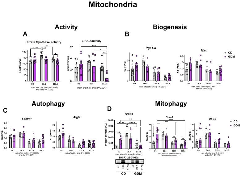 https://cdn.ncbi.nlm.nih.gov/pmc/blobs/0b47/12237674/5614bfeba130/fendo-16-1498764-g003.jpg