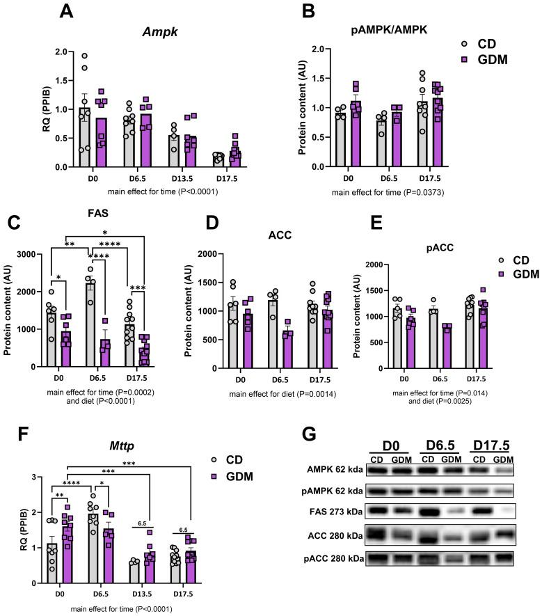 https://cdn.ncbi.nlm.nih.gov/pmc/blobs/0b47/12237674/a0dafa33f6df/fendo-16-1498764-g002.jpg