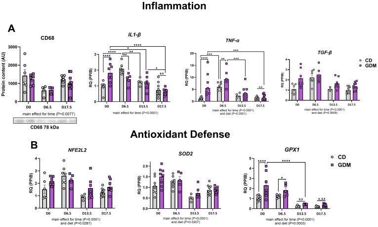 https://cdn.ncbi.nlm.nih.gov/pmc/blobs/0b47/12237674/b13fb3732b7c/fendo-16-1498764-g004.jpg