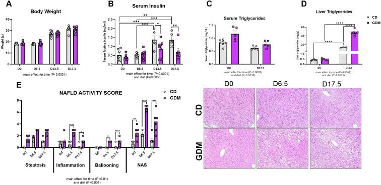 https://cdn.ncbi.nlm.nih.gov/pmc/blobs/0b47/12237674/e7536dd826a8/fendo-16-1498764-g001.jpg