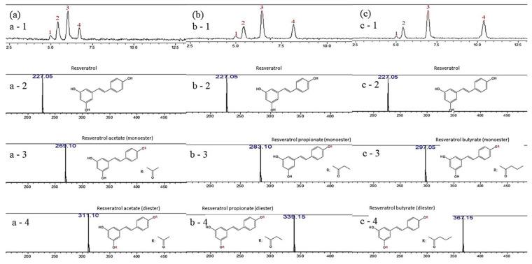 https://cdn.ncbi.nlm.nih.gov/pmc/blobs/0b47/8001046/1c6fccb63edc/antioxidants-10-00420-g003.jpg