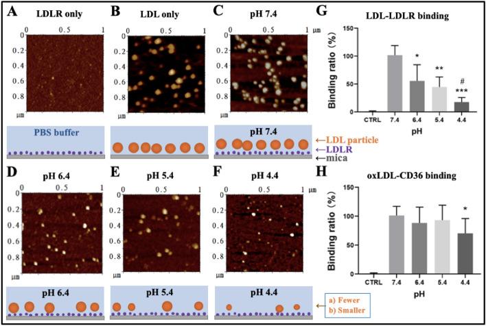 https://cdn.ncbi.nlm.nih.gov/pmc/blobs/0b48/11921551/2e133fec4926/11658_2025_715_Fig1_HTML.jpg
