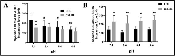https://cdn.ncbi.nlm.nih.gov/pmc/blobs/0b48/11921551/3243d53f9e51/11658_2025_715_Fig5_HTML.jpg