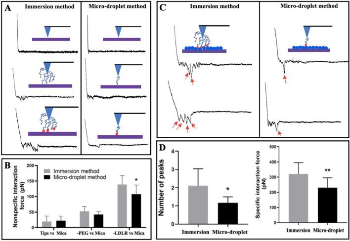 https://cdn.ncbi.nlm.nih.gov/pmc/blobs/0b48/11921551/507b00f24521/11658_2025_715_Fig4_HTML.jpg