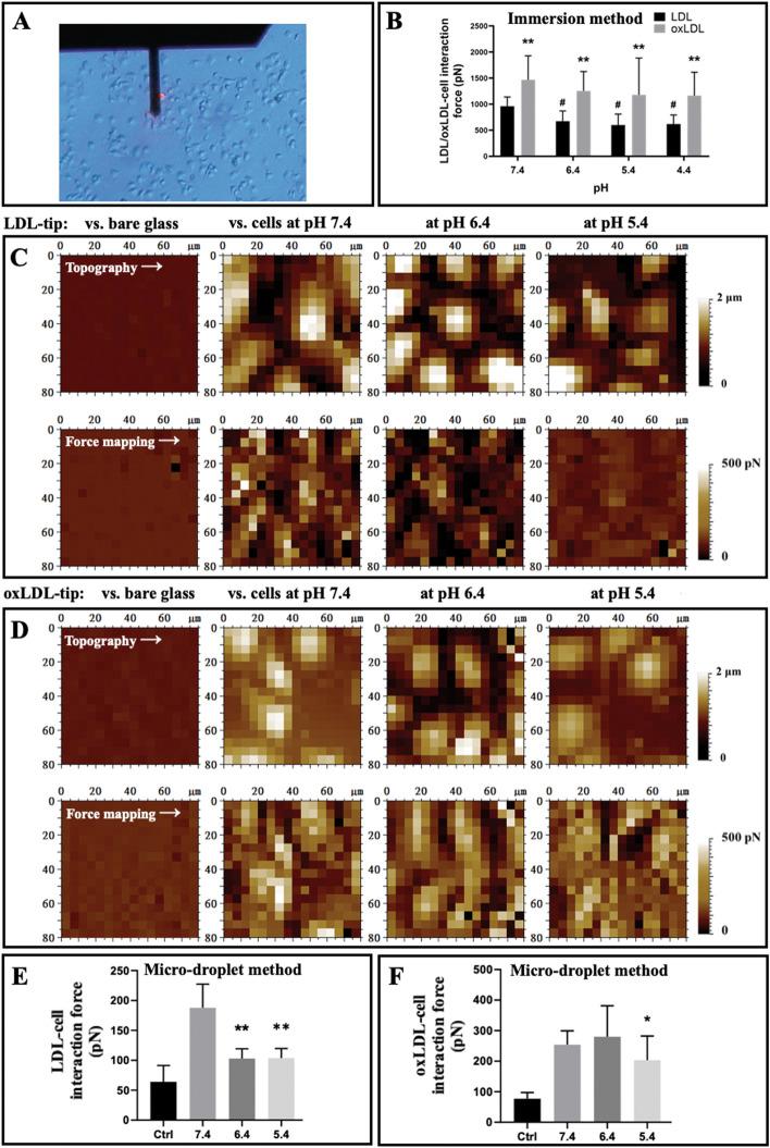 https://cdn.ncbi.nlm.nih.gov/pmc/blobs/0b48/11921551/fb0cbc510b15/11658_2025_715_Fig6_HTML.jpg