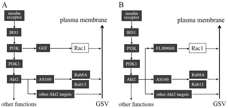 https://cdn.ncbi.nlm.nih.gov/pmc/blobs/0b4a/4227239/ee08c38837ce/ijms-15-18677-g002.jpg
