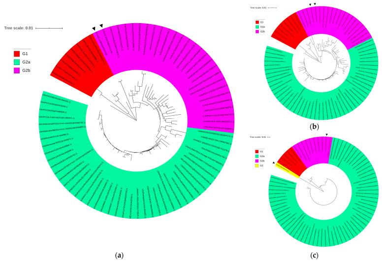 https://cdn.ncbi.nlm.nih.gov/pmc/blobs/0b4a/8402686/57e357af21e7/viruses-13-01562-g003.jpg