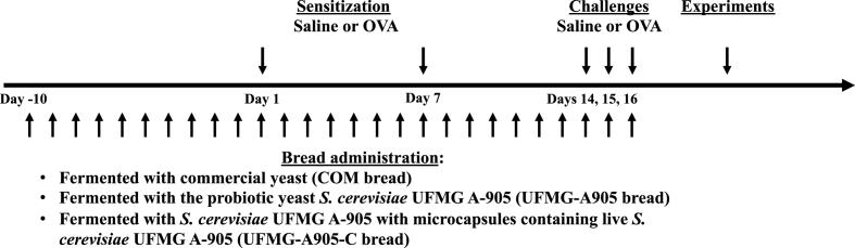 https://cdn.ncbi.nlm.nih.gov/pmc/blobs/0b4b/11035053/1d80aab5be28/gr1.jpg