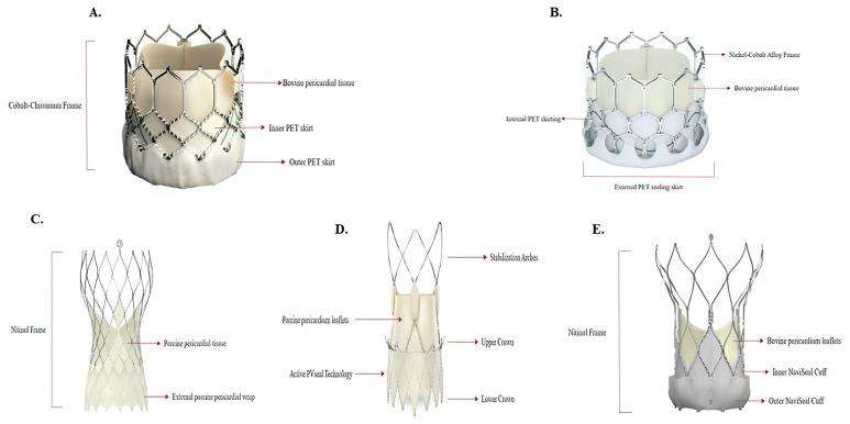 https://cdn.ncbi.nlm.nih.gov/pmc/blobs/0b4b/12027816/339a09689510/jcm-14-02838-g002.jpg
