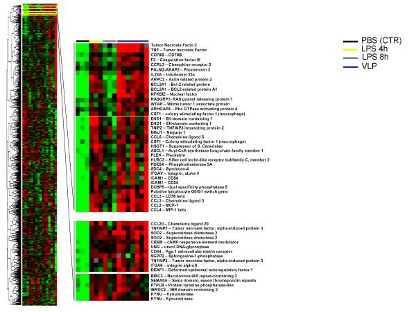 https://cdn.ncbi.nlm.nih.gov/pmc/blobs/0b4c/1360684/9fca84bab202/1479-5876-3-45-6.jpg