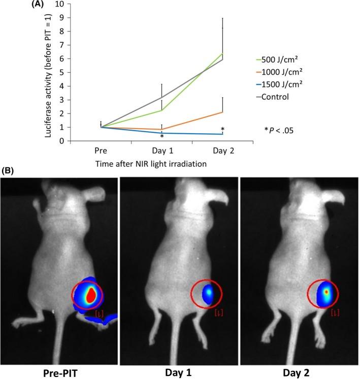 https://cdn.ncbi.nlm.nih.gov/pmc/blobs/0b4c/6890452/71e0baea511c/CAS-110-3689-g003.jpg