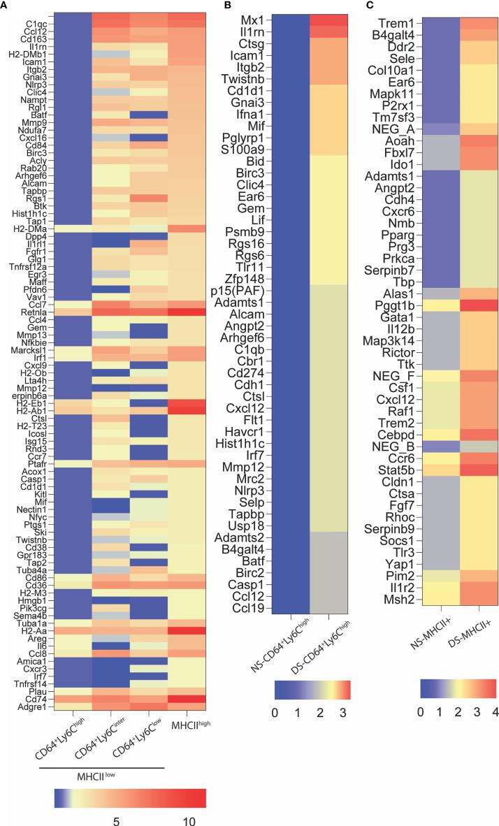 https://cdn.ncbi.nlm.nih.gov/pmc/blobs/0b54/8297564/f20d5334761f/fimmu-12-701415-g004.jpg