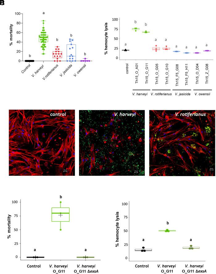 https://cdn.ncbi.nlm.nih.gov/pmc/blobs/0b55/10556616/d5004e745f3a/pnas.2305195120fig04.jpg