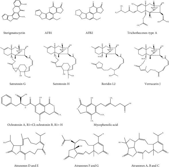 https://cdn.ncbi.nlm.nih.gov/pmc/blobs/0b55/10838203/b2e3b1981117/IJAC2024-8581029.003.jpg