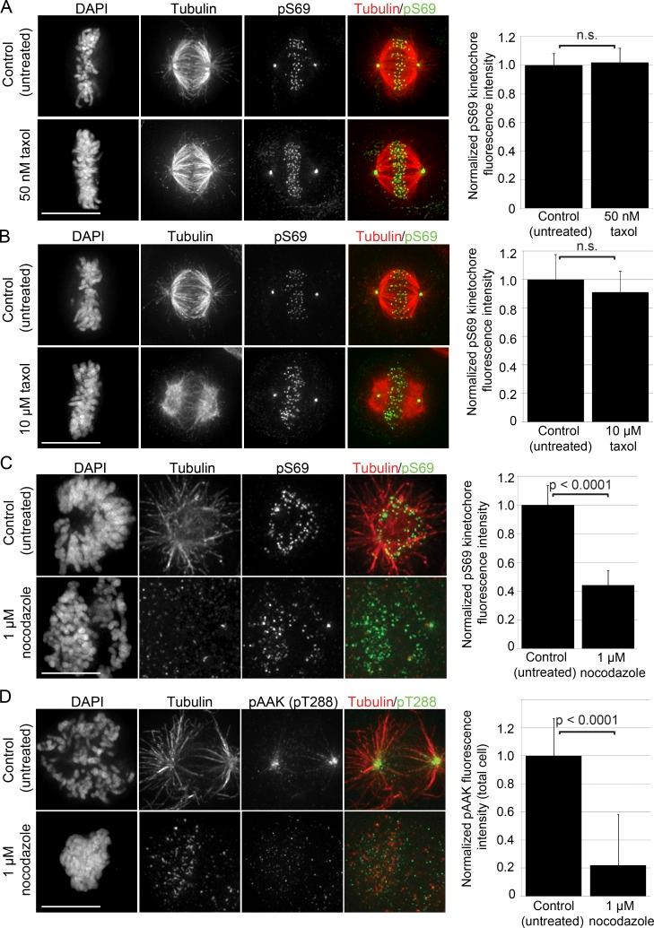 https://cdn.ncbi.nlm.nih.gov/pmc/blobs/0b55/5748988/6bb351062ce0/JCB_201707160_Fig2.jpg
