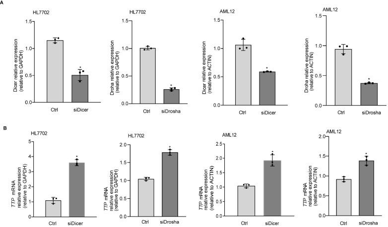 https://cdn.ncbi.nlm.nih.gov/pmc/blobs/0b56/9828319/5dbad3962d3a/abbs-2022-303-t2.jpg