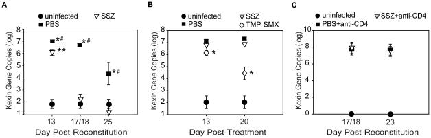 https://cdn.ncbi.nlm.nih.gov/pmc/blobs/0b57/2924364/fc3a858fc151/ppat.1001058.g004.jpg