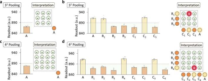 https://cdn.ncbi.nlm.nih.gov/pmc/blobs/0b57/9645323/2576b92cb9dc/41586_2022_5408_Fig14_ESM.jpg