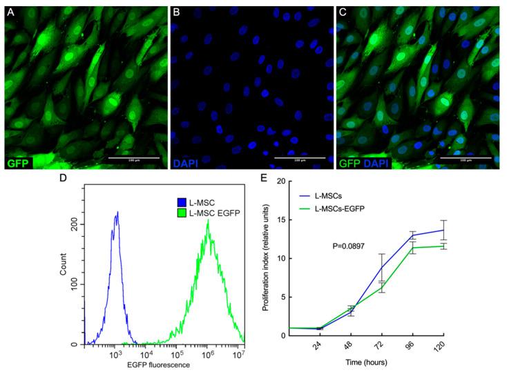 https://cdn.ncbi.nlm.nih.gov/pmc/blobs/0b58/8465718/35fa11e5cd58/biomedicines-09-01134-g002.jpg