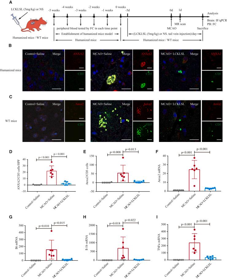 https://cdn.ncbi.nlm.nih.gov/pmc/blobs/0b5b/12245446/d3bc0202e07c/gr3.jpg