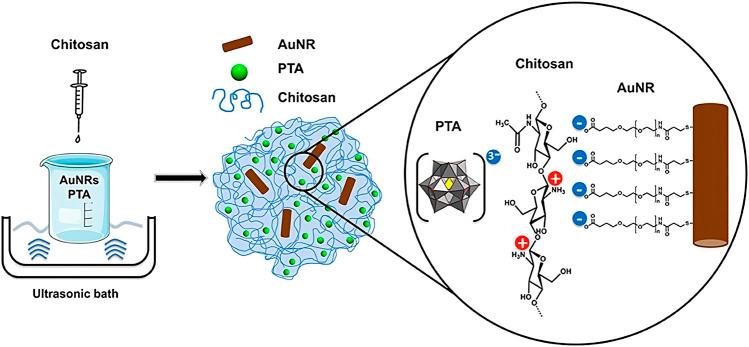 https://cdn.ncbi.nlm.nih.gov/pmc/blobs/0b5c/10401050/ec83a1d8b42f/fbioe-11-1191327-g004.jpg