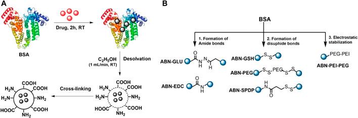 https://cdn.ncbi.nlm.nih.gov/pmc/blobs/0b5c/10401050/ed64020d0cde/fbioe-11-1191327-g005.jpg