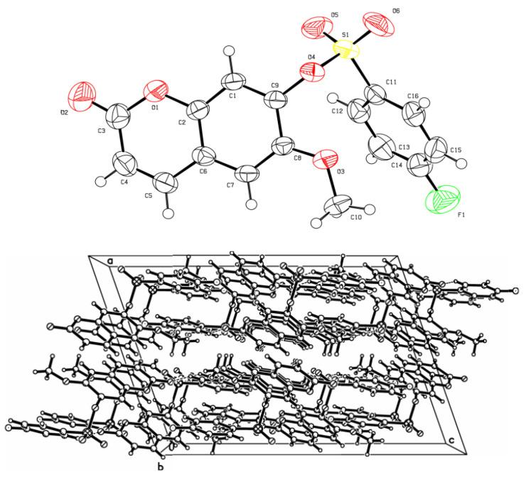 https://cdn.ncbi.nlm.nih.gov/pmc/blobs/0b5c/9865501/85afbf674cbb/molecules-28-00530-g004.jpg