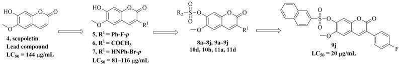 https://cdn.ncbi.nlm.nih.gov/pmc/blobs/0b5c/9865501/dc2948b331ed/molecules-28-00530-g005.jpg