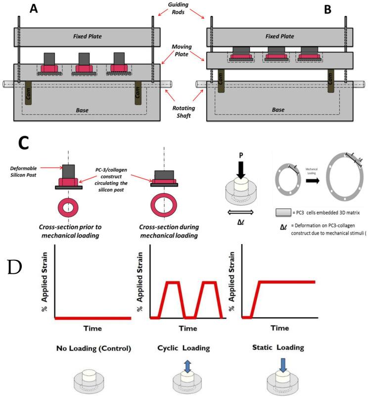 https://cdn.ncbi.nlm.nih.gov/pmc/blobs/0b5d/10669840/277d3b4508ce/bioengineering-10-01271-g002.jpg